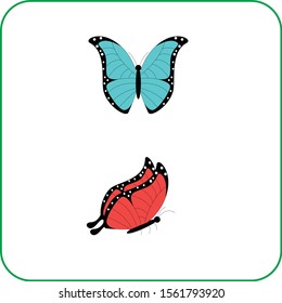 Collection of original vector illustrations of colorful butterfly insects