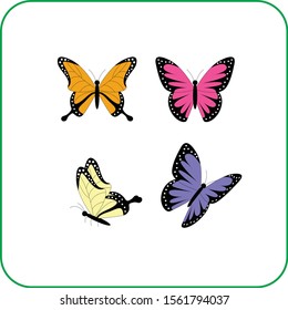 Collection of original vector illustrations of colorful butterfly insects