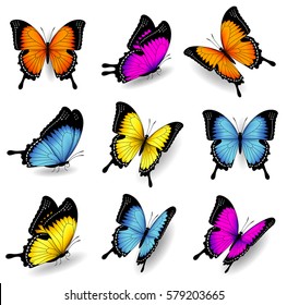 Collection of original vector illustrations of colorful butterfly insects