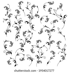 A collection of ornamental materials composed of curved lines,