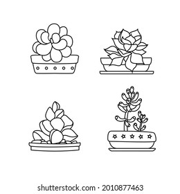 collection of ornamental plant drawings with line art concepts