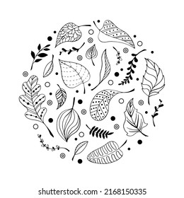 Collection of ornate decorative leaf in circle. Stylized leaves in doodle style for design. Hand drawn decor elements. Set of black line foliage drawing on isolated white backdrop. Vector illustration