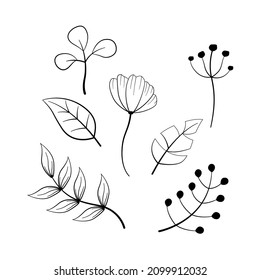 collection of outline autumn flowers and leaves with wreath vector