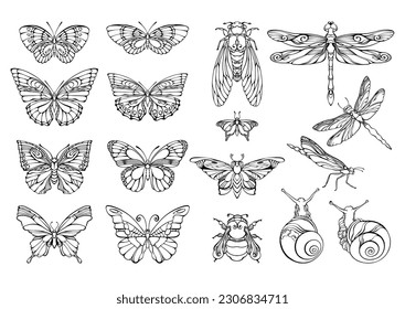 Colección de mariposas de contorno, libélulas, abejorros y caracoles. Ilustraciones vectoriales.