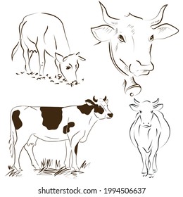 Collection Outline drawing of cow hand. Vector illustration.