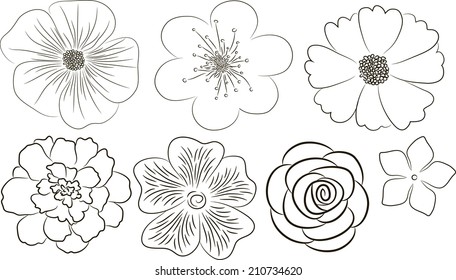 collection of  outline flowers