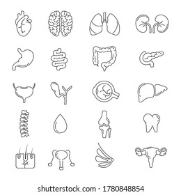 Collection of outline icons of human organs. Human organs vector illustration.