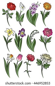 Collection of outlined flowers. Orchid, chrysanthemum, carnation, calla, rose, tulip, lily, peony, narcissus, iris and daisy. Vector illustration