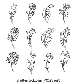Collection of outlined flowers. Tulip, chamomile, lily of the valley, rose, peony, narcissus, orchid, iris, chrysanthemum, calla, carnation and lily In sketch hand drawn style. Vector illustration
