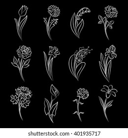 Collection of outlined flowers. Tulip, chamomile, lily of the valley, rose, peony, narcissus, orchid, iris, chrysanthemum, calla, carnation and lily In sketch hand drawn style. Vector illustration