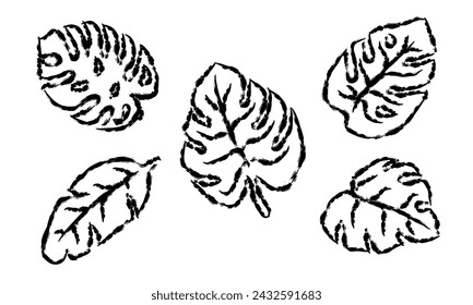 A collection of outlined tropical leaves on a white background.