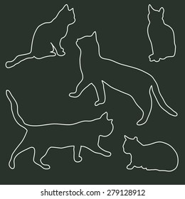 Collection of outlines of the silhouettes of cats in different poses on a dark background