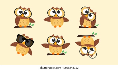 Collection of Owls in different poses