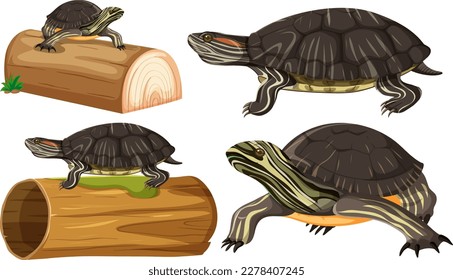 Collection of Painted Turtle Poses illustration