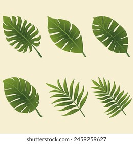 a collection of palm leaves with a white background.