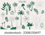 Collection of palm tree. Editable vector illustration.