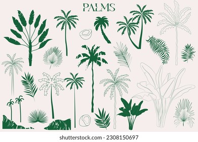 Collection of palm tree. Editable vector illustration.