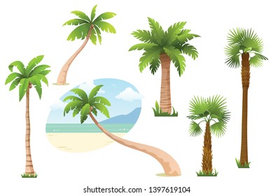 Collection of palm tree isolated on white background. Tropical palm trees with green leaves and coconuts. Cartoon style. Element for your design. Vector illustration.