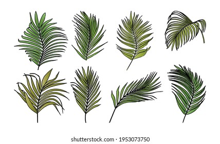 Collection of palm tree leaves with ink style vector