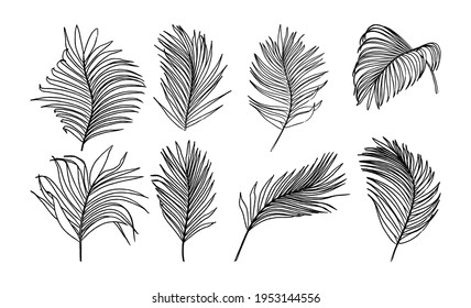 Collection of palm tree leaves with ink style vector