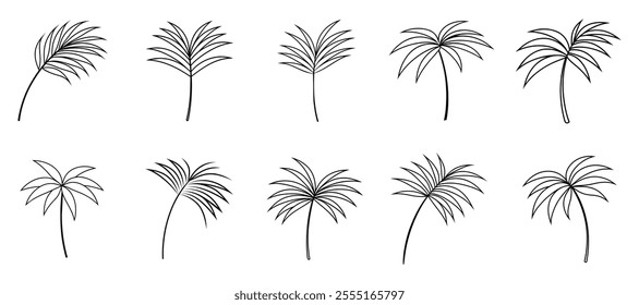 Collection of palm tree vector design.Line art design