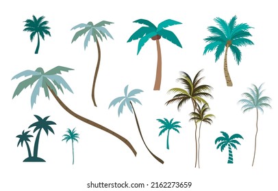 Collection of palm tree.Editable vector illustration for website, sticker, tattoo,icon