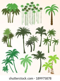 Collection of Palm Trees