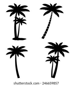 Collection of palm trees isolated on white background, vector illustration