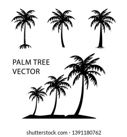 collection of palm trees vector illustration, with a black and white silhouette style