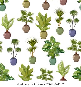 Collection of palm trees in vector pattern.Varieties of potted palms in a color vector pattern on a transparent background.