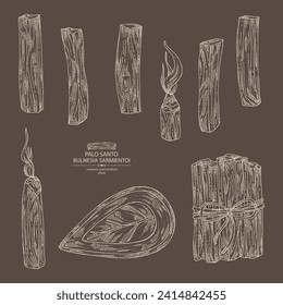 Collection of palo santo: palo santo wood  and palo santo sticks. Bulnesia sarmientoi. Cosmetic, perfumery and medical plant. Vector hand drawn illustration