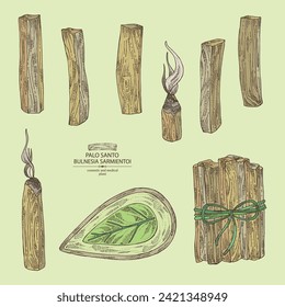 Collection of palo santo: palo santo wood  and palo santo sticks. Bulnesia sarmientoi. Cosmetic, perfumery and medical plant. Vector hand drawn illustration