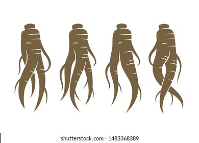 collection of panax ginseng root isolated on white background