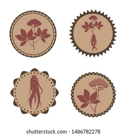 collection of panax ginseng root label isolated on white background