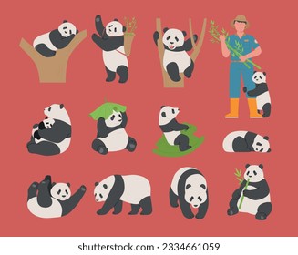 Eine Sammlung von Panda-Figuren mit verschiedenen Bewegungen. einfache handgezeichnete Stilgestaltung