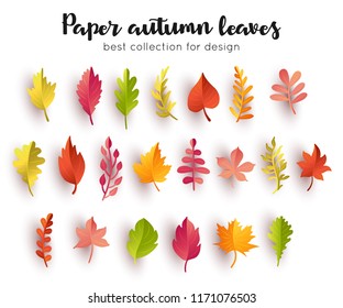 Collection paper autumn leaves. Vector illustration.