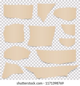 collection of paper scraps colored brown with transparency in vector file