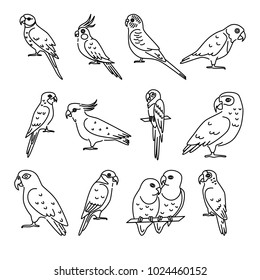 Collection of parrot icons in thin line style. Tropical bird symbols isolated on white background.