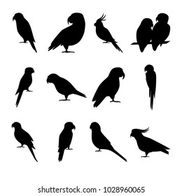 Collection of parrot silhouette icons in flat style. Tropical bird symbols isolated on white background.