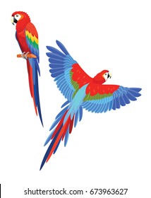 Collection of parrots. Vector illustration.