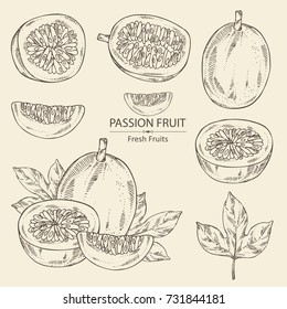 Collection of passion fruit: fruit, passion slice and leaves. Vector hand drawn illustration