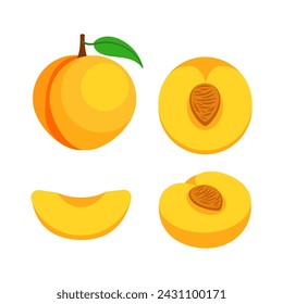 Collection of peach slices and whole fruits. Vector illustration