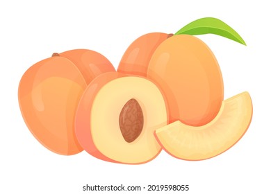 Collection of peaches in different shapes, slice, half with seed, whole fruit. Can be used for healthy diet, harvest natural eco food concept. Stock vector illustration in realistic cartoon style.