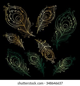 Collection of peacock feathers
