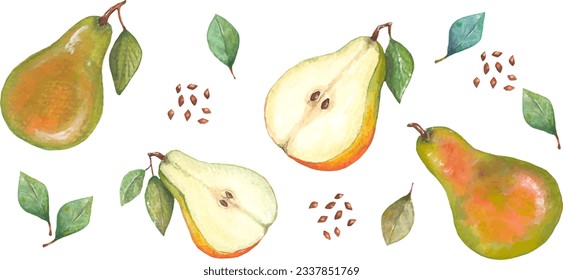 Collection of pears from 9 elements. You can create patterns and illustrations yourself, as well as add to other elements.