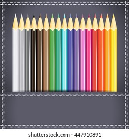Collection of pencils in the pocket. Vector illustration.