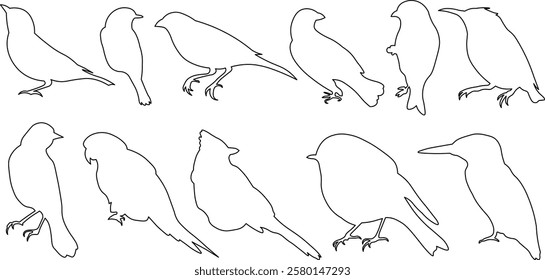 collection of perch rest sit bird avian icon vector outline stroke bundle hibernate migration pack