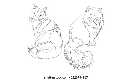 colección de ilustraciones vectoriales de boceto de gato mascota. pintura de gatos con fines de negocios venta de diseños para niños para aprender a colorear