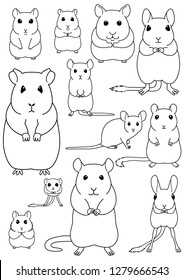 collection of pet rodents