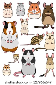 collection of pet rodents